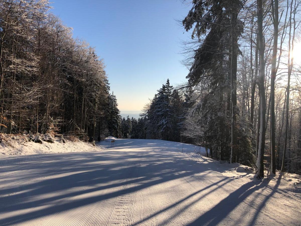 Chalet Anra Pohorje Zgornje Hoce 외부 사진