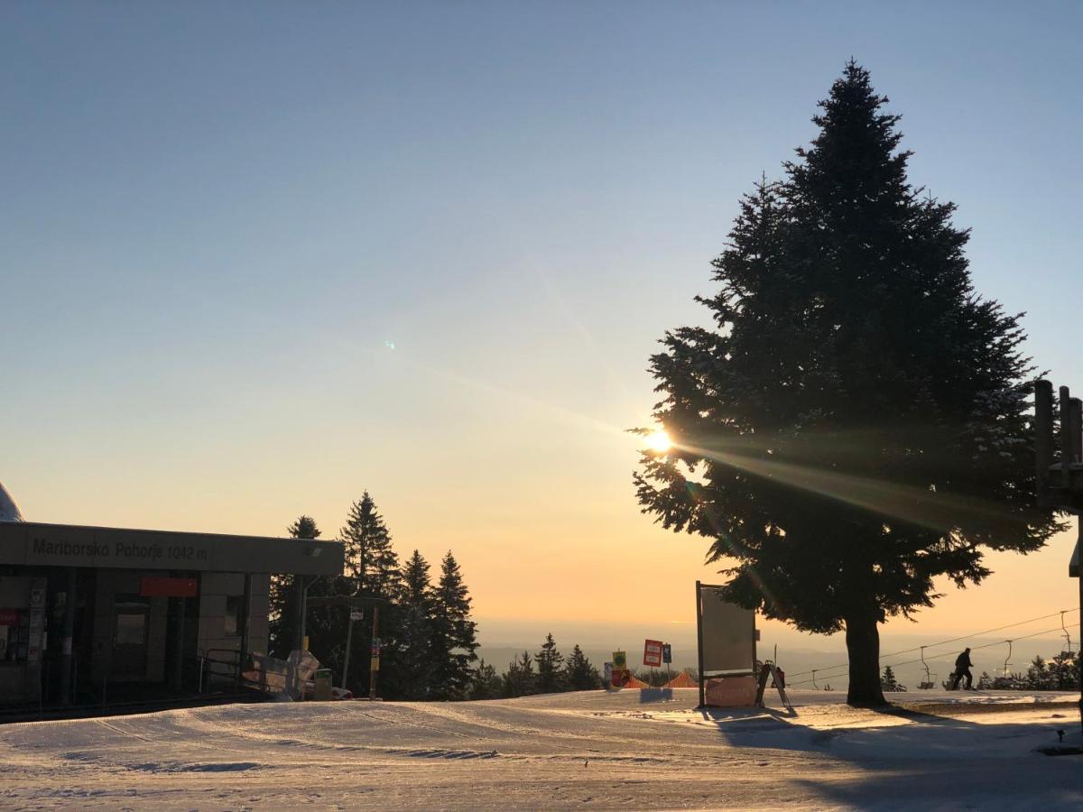 Chalet Anra Pohorje Zgornje Hoce 외부 사진