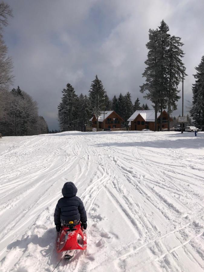 Chalet Anra Pohorje Zgornje Hoce 외부 사진