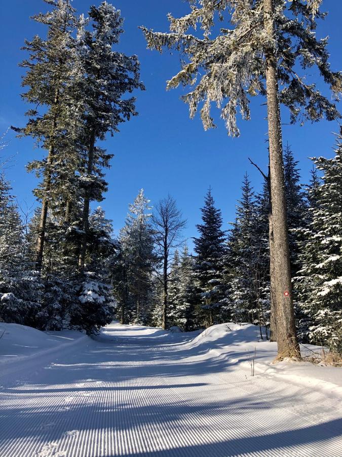 Chalet Anra Pohorje Zgornje Hoce 외부 사진
