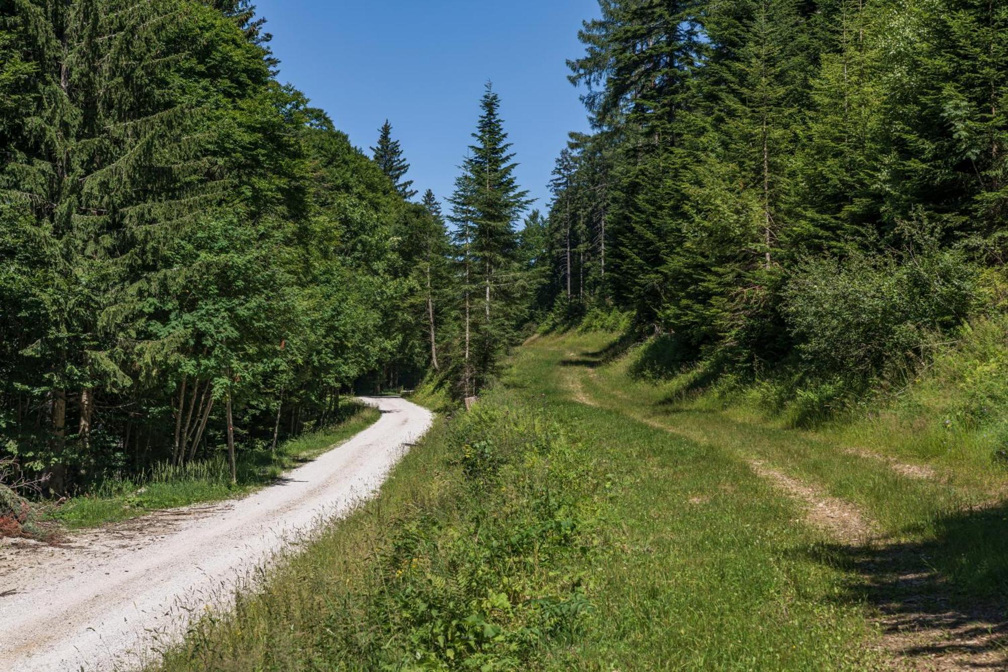 Chalet Anra Pohorje Zgornje Hoce 외부 사진